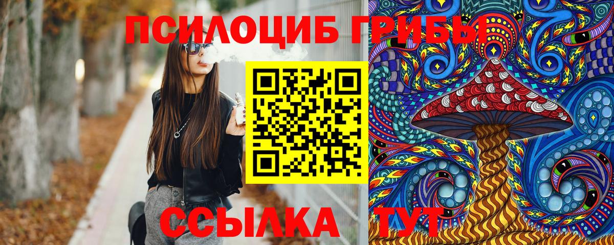 Псилоцибиновые грибы GOLDEN TEACHER Тула