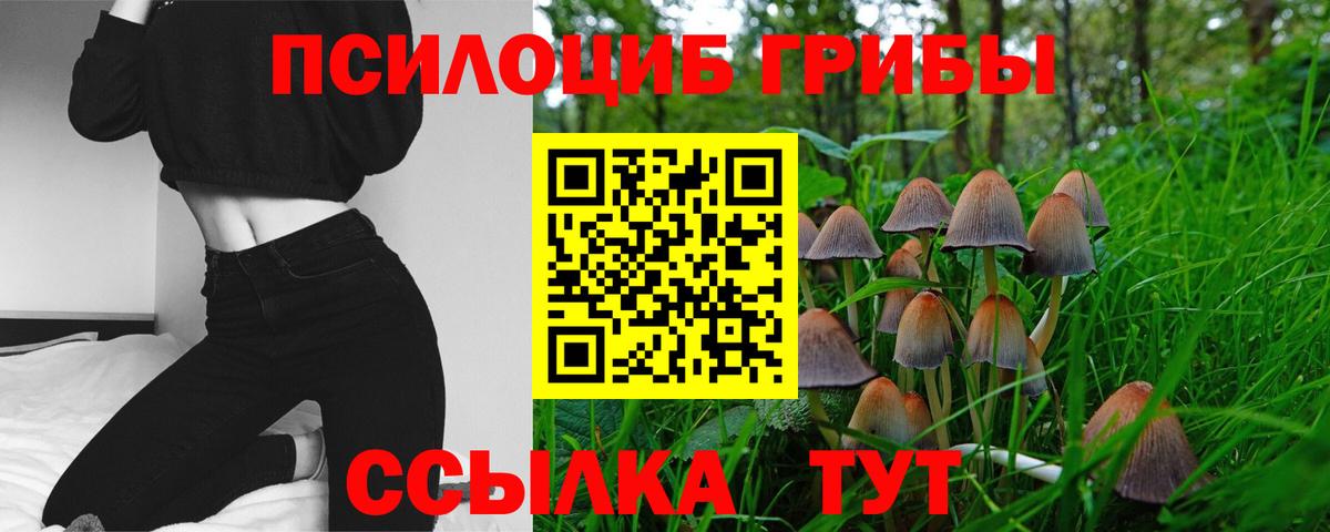 Псилоцибиновые грибы мухоморы  Вход с VPN  Тула  Галлюциногенные грибы Cubensis 